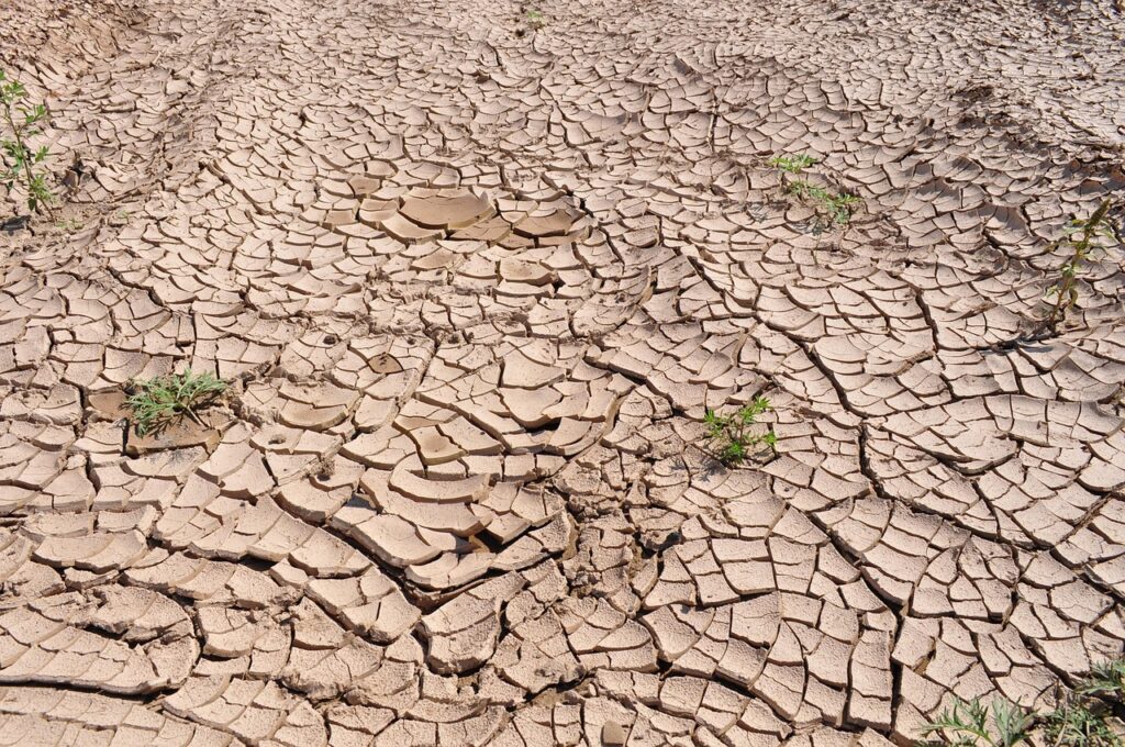 drought, cracked earth, dry earth, parched land, dry riverbed, global warming, earth, texture, dirt, dried mud, cracks, brown earth, brown texture, brown global, drought, drought, drought, global warming, global warming, global warming, global warming, global warming
