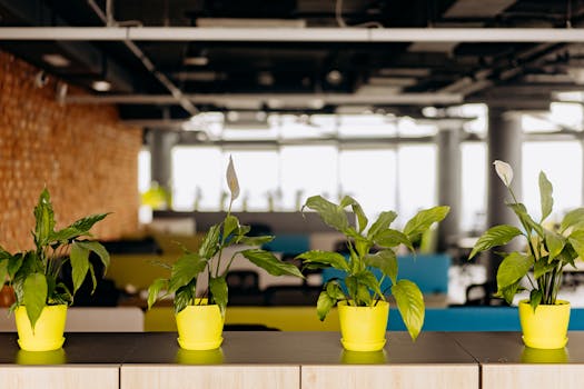 pexels-photo-8297857-8297857 Bright office plants creating a serene workspace atmosphere.